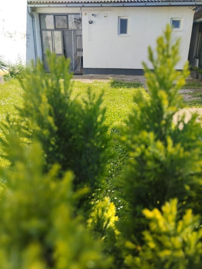 Marija Apartman Osijek Ngoại thất bức ảnh